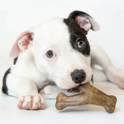 Benebone Puppy Pack Bacon Flavor Chew Toy for Puppies (2 chews)