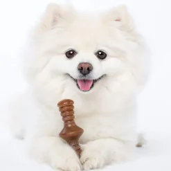 Benebone Puppy Pack Maple Wood Flavor Chew Toy for Puppies (2 chews)