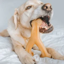 Benebone Rotisserie Chicken Flavor Wishbone Durable Chew Toy for Dogs