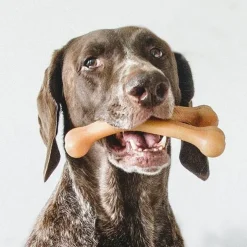 Benebone Rotisserie Chicken Flavor Wishbone Durable Chew Toy for Dogs