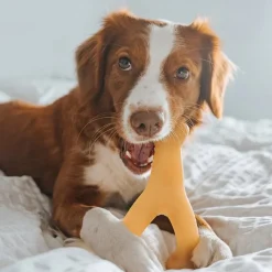 Benebone Rotisserie Chicken Flavor Wishbone Durable Chew Toy for Dogs