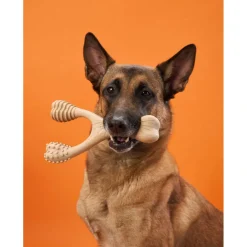 BetterBone Hard Density Beef Flavor Chew Toy For Dog