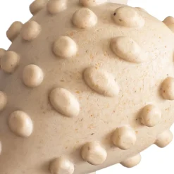BetterBone Hard Density Beef Flavor Chew Toy For Dog