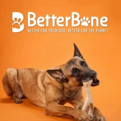 BetterBone Hard Density Beef Flavor Chew Toy For Dog