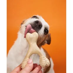 BetterBone Hard Density Beef Flavor Chew Toy For Dog