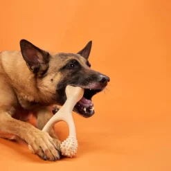BetterBone Hard Density Classic Flavor Chew Toy For Dogs