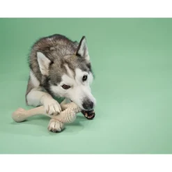 BetterBone Medium Density Beef Flavor Dog Chew Toy