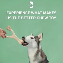 BetterBone Medium Density Classic Flavor Dog Chew Toy