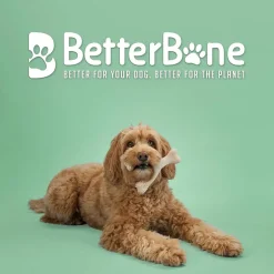 BetterBone Medium Density Classic Flavor Dog Chew Toy