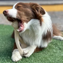 BetterBone Soft Density Beef Flavor Chew Toy For Dogs