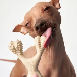 BetterBone Soft Density Beef Flavor Chew Toy For Dogs
