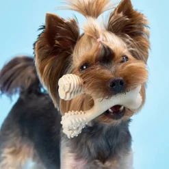 BetterBone Soft Density Beef Flavor Chew Toy For Dogs