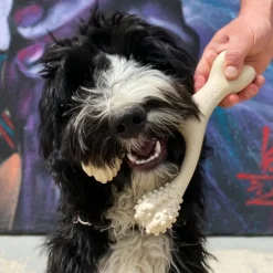 BetterBone Soft Density Beef Flavor Chew Toy For Dogs