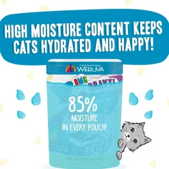 BFF OMG Charge Me Up! Chicken in Gravy Wet Cat Food, 2.8-oz pouch, 12 count