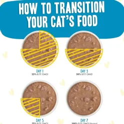 BFF OMG Charge Me Up! Chicken in Gravy Wet Cat Food, 2.8-oz pouch, 12 count