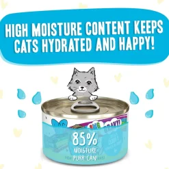 BFF OMG Cloud 9! Chicken in Gravy Minced Grain-Free Wet Cat Food, 2.8-oz can, case of 12