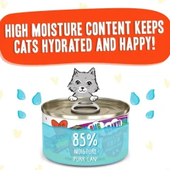 BFF OMG Stir It Up! Chicken & Salmon in Gravy Wet Canned Cat Food, 2.8-oz can, case of 12
