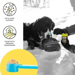 Bixbi Joint Support Powdered Mushroom Supplement For Dogs & Cats (60 g)