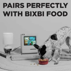 Bixbi Pocket Trainers Grain-Free Salmon Treats for Dogs (6 oz)