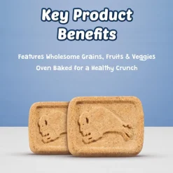 Blue Buffalo Health Bars Pumpkin & Cinnamon Biscuits for Dogs (16 oz)