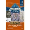 Blue Buffalo Wilderness Chicken & Turkey Moist Treats For Cats (2 oz)