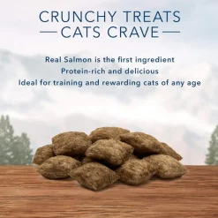 Blue Buffalo Wilderness Tasty Salmon Crunchy Treats For Cats (2 oz)