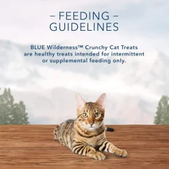 Blue Buffalo Wilderness Tasty Salmon Crunchy Treats For Cats (2 oz)