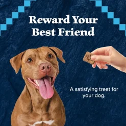 Blue Buffalo Wilderness Trail Treats Duck Biscuits for Dogs (10 oz)