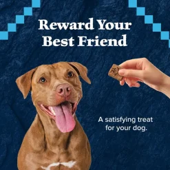 Blue Buffalo Wilderness Trail Treats Turkey Biscuits for Dogs