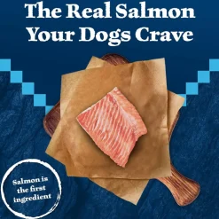 Blue Buffalo Wilderness Wild Bits Salmon Recipe Training Treats for Dogs (4 oz)