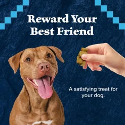 Blue Buffalo Wilderness Wild Bits Salmon Recipe Training Treats for Dogs (4 oz)