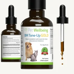 BM Tone-Up Gold for Loose Stools in Dogs