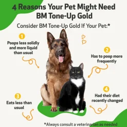 BM Tone-Up Gold for Loose Stools in Dogs