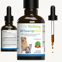 BM Tone-Up Gold for Loose Stools in Cats