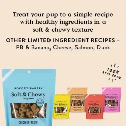 Bocce's Bakery Basics Chicken Soft & Chewy Treats For Dogs (6 oz)