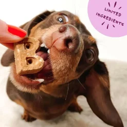 Bocce's Bakery Basics Duck Soft & Chewy Treats (6 oz)