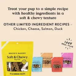 Bocce's Bakery Basics Peanut Butter & Banana Soft & Chewy Recipe Dog Treats (6 oz)