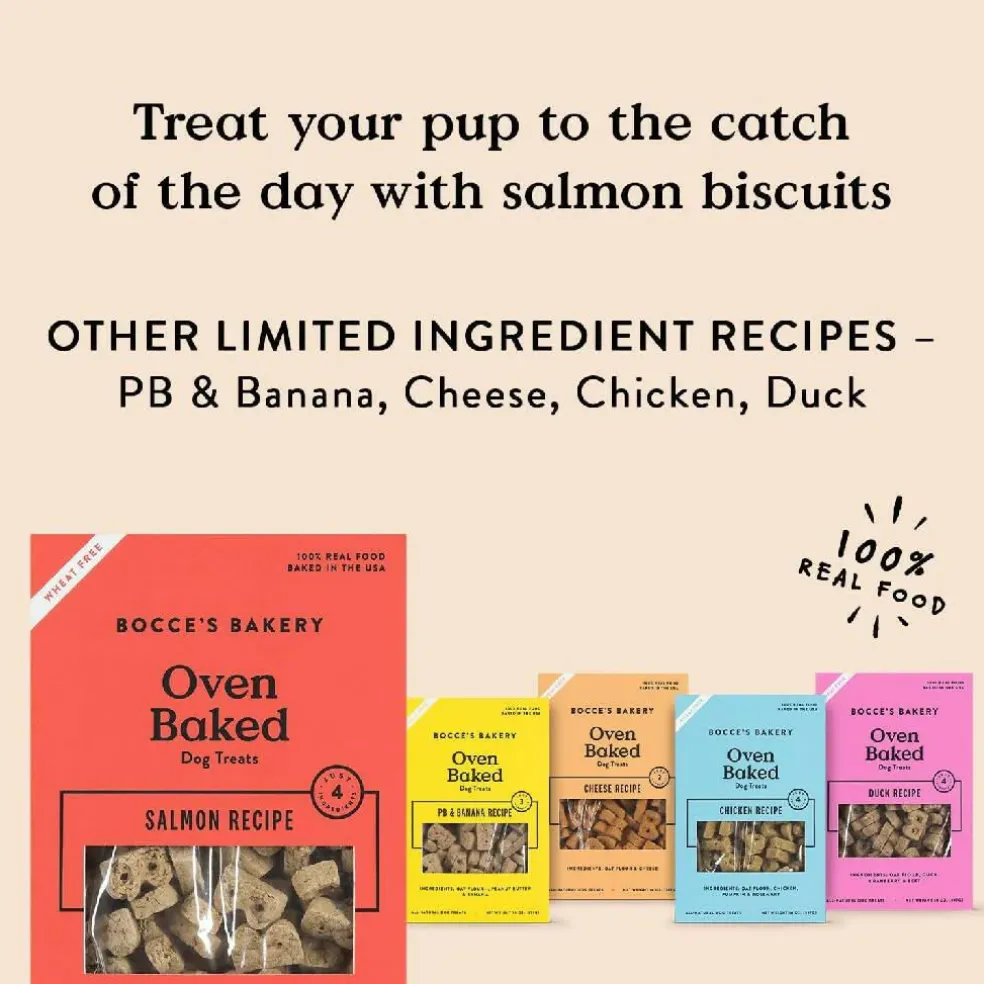 Bocce's Bakery Basics Salmon Crunchy Biscuits For Dogs (14 oz)