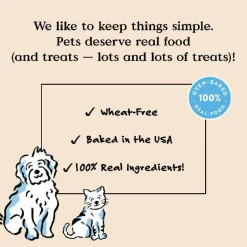 Bocce's Bakery Basics Salmon Soft & Chewy Treats For Dogs (6 oz)