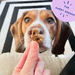 Bocce's Sweet Dreams Soft & Chewy Treats For Dogs (6 oz)