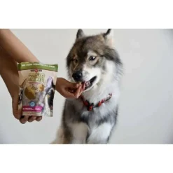 Boss Dog Probites Freeze Dried Raw Pork & Tripe Treats with Probiotics for Dogs (3 oz)