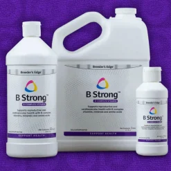 Breeder's Edge B Strong Liquid for Dogs & Cats