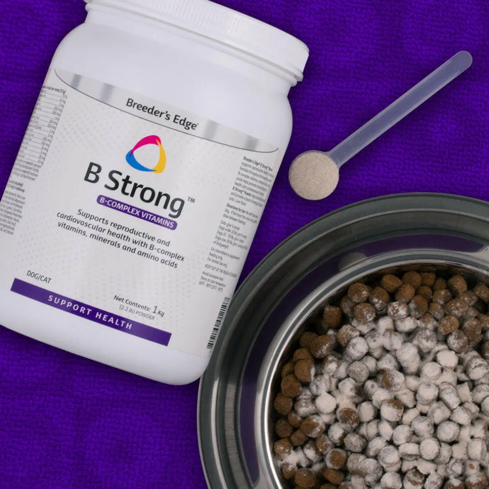Breeder's Edge B Strong Powder for Dogs & Cats