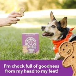 Buddy Biscuits Oven Baked Crunchy Chicken, Grilled Beef, and Sharp Cheddar Dog Treats (16 oz)