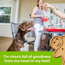 Buddy Biscuits Oven-Baked Grain Free Crunchy Roasted Chicken Dog Treats (14 oz)
