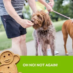 Buddy Biscuits Oven-Baked Grain Free Crunchy Roasted Chicken Dog Treats (14 oz)