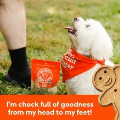 Buddy Biscuits Soft & Chewy Grain Free Peanut Butter Dog Treats (5 oz)
