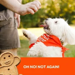 Buddy Biscuits Soft & Chewy Grain Free Peanut Butter Dog Treats (5 oz)