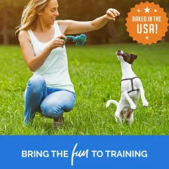 Buddy Trainers Training Bites Soft & Chewy Bacon Flavored Dog Treats (10 oz)