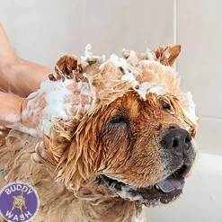 Buddy Wash Original Lavender & Mint Dog 2-in-1 Shampoo + Conditioner